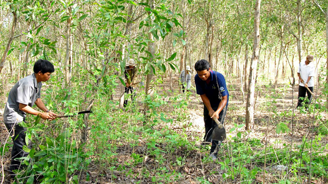Mức hỗ trợ bảo vệ, khoanh nuôi tái sinh rừng, Nghị định 75/2015/NĐ-CP