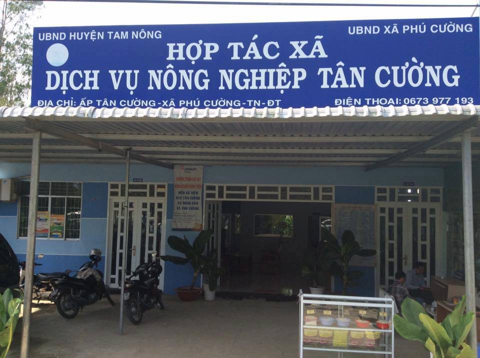 dieu cam khi dat ten hop tac xa, lien hiep HTX, Nghi dinh 193/2013/NĐ-CP