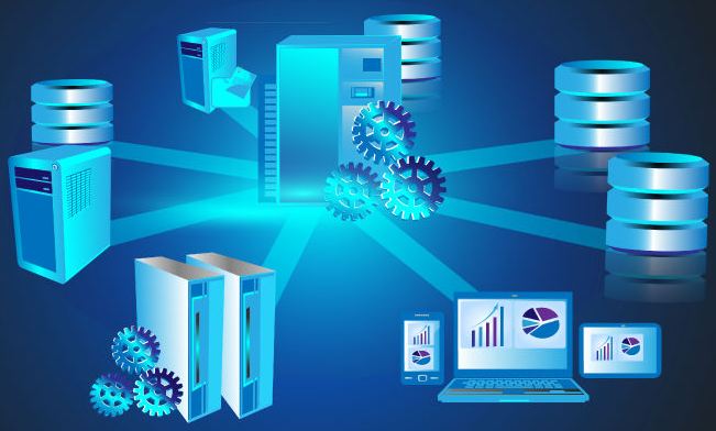 Regulation 03 requires associate degree in Database Management Sector, Circular 44/2018/TT-BLDTBXH