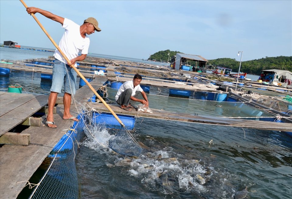 Nội dung Thông tin, tuyên truyền, tập huấn phòng chống dịch bệnh động vật thủy sản, Thông tư 04/20016/TT-BNNPTNT