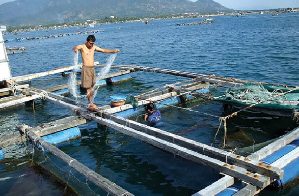 Quy định về nguyên tắc và nội dung điều tra ổ dịch động vật thủy sản, thông tư 04/2016/TT-BNNPTNT