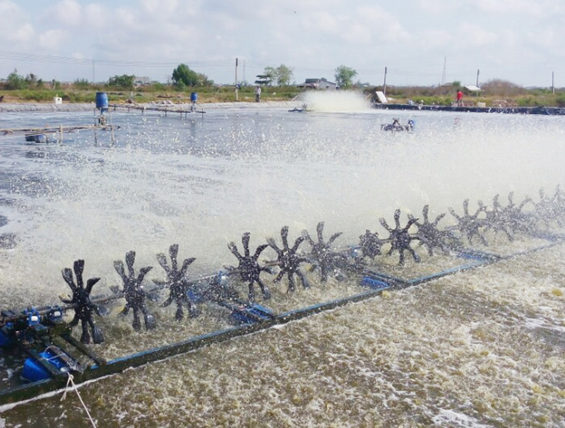 Kiến thức tối thiểu của ngành nuôi trồng thủy sản nước ngọt trình độ TC , Thông tư 52/2018/TT-BLĐTBXH 
