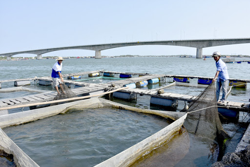 Yêu cầu kỹ năng phải đạt của ngành nuôi trồng thủy sản trình độ CĐ, Thông tư 52/2018/TT-BLĐTBXH 