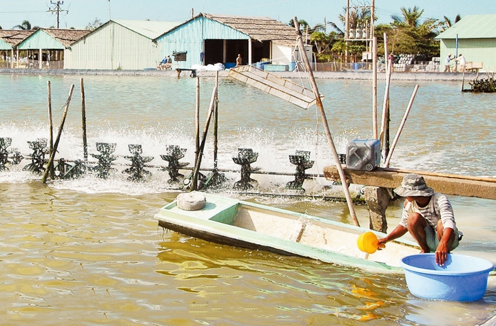 Ngành nuôi trồng thủy sản nước mặn, nước lợ trình độ trung cấp là ngành gì?,Thông tư 52/2018/TT-BLĐTBXH