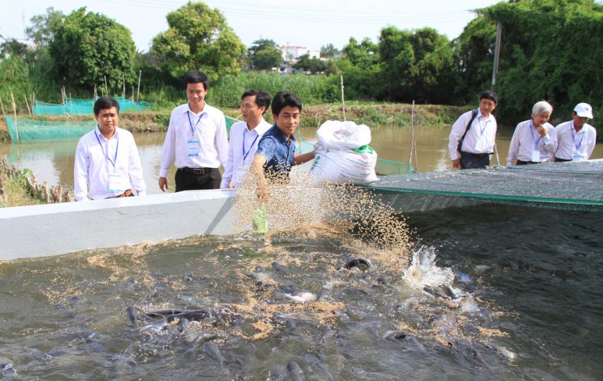 Introduction to Freshwater Aquaculture at College Level, Circular 52/2018/TT-BLDTBXH