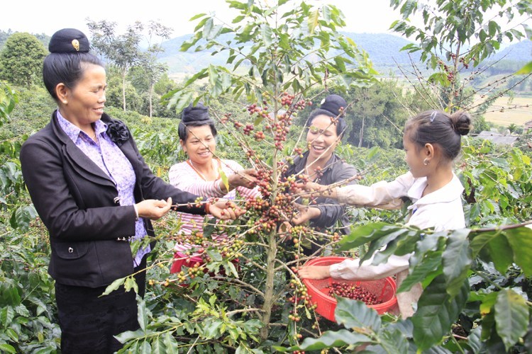 Đánh giá nghiệm thu dự án ở địa phương thuộc CT hỗ trợ ứng dụng ở nông thôn, Thông tư 07/2016/TT-BKHCN 