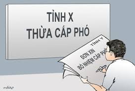 Số lượng cấp phó cho mỗi phòng khi được thành lập là bao nhiêu, Nghị định 101/2020/NĐ-CP