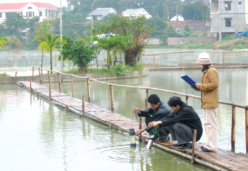 Chế độ quan trắc tài nguyên nước dưới đất được thực hiện theo mùa, Thông tư 19/2013/TT-BTNMT