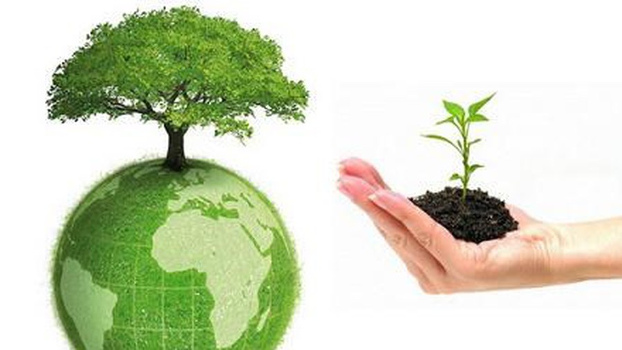 environmental deposit, Draft Law on Environmental Protection