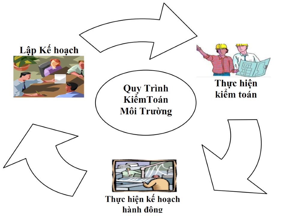 kiểm toán môi trường, Dự thảo Luật BVMT