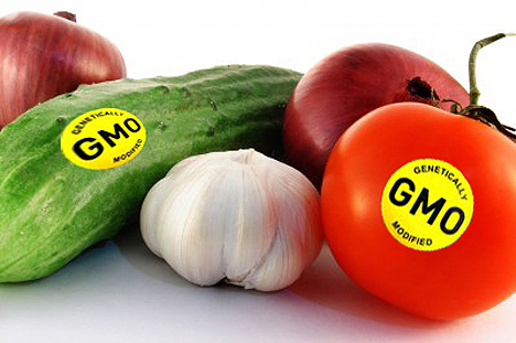 sinh vật biến đổi gen sử dụng làm thực phẩm, Nghị định 69/2010/NĐ-CP.