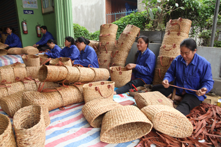 Ban Điều hành, Thông tư 20/2010/TT-BKHCN