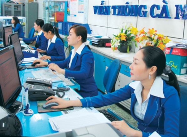 DN chiếm thị phần khống chế, Thông tư 02/2007/TT-BTTTT 