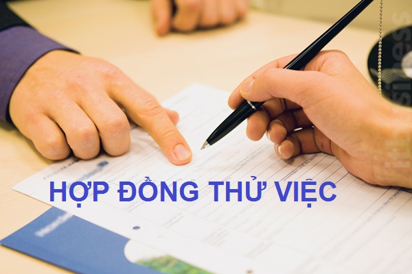 Trong hợp đồng thử việc không cần có thời hạn của hợp đồng, Bộ luật Lao động 2019 