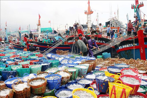 Xử phạt đối với HVVP về phòng, chống dịch bệnh động vật thủy sản , Nghị định 90/2017/NĐ-CP 