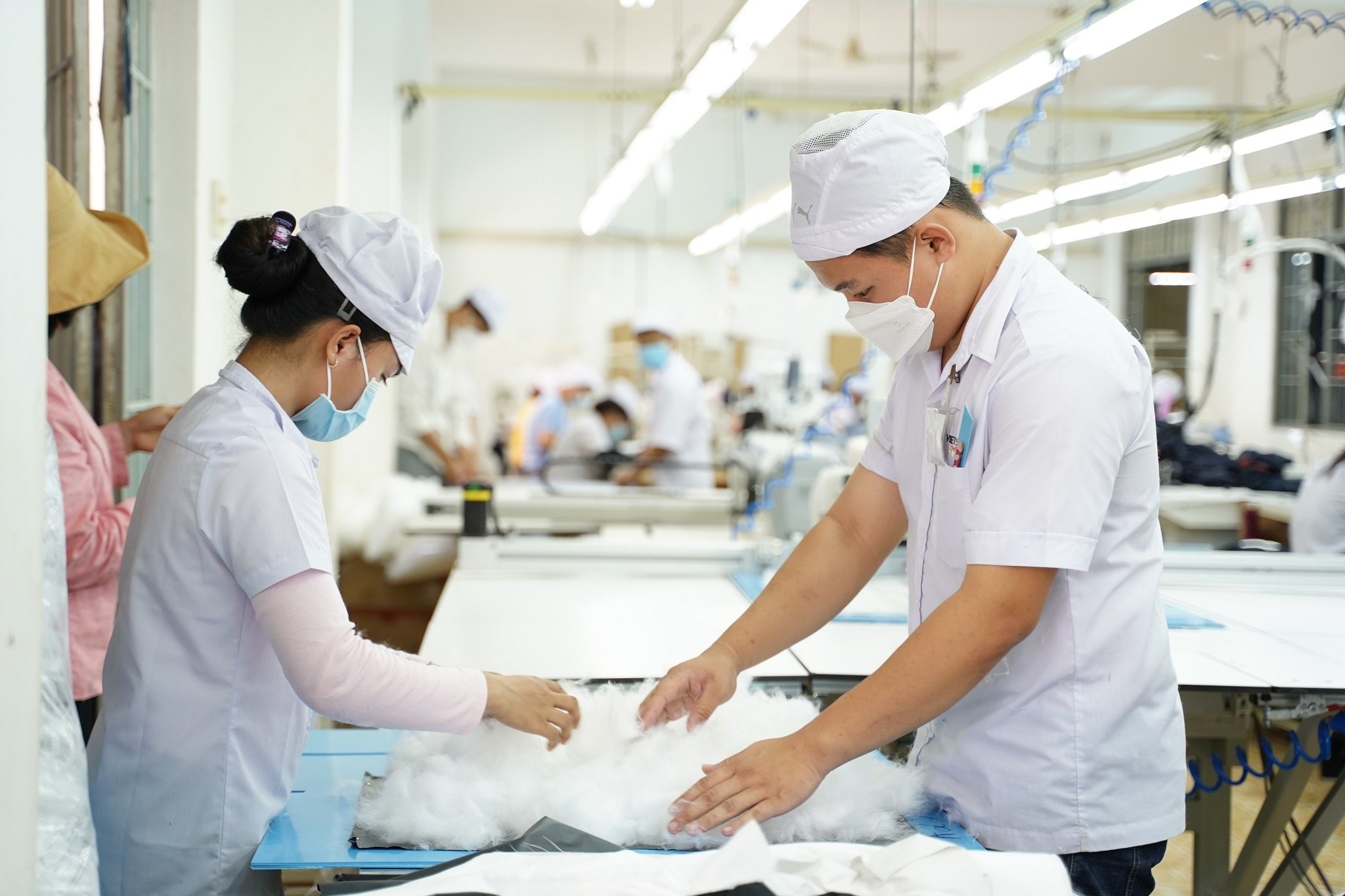 What are the regulations on the occupational disease screening procedures and contents for employees in Vietnam? 