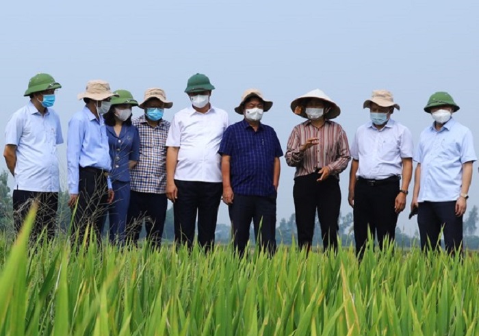 Determining the successful candidates in the promotion examination for professional titles of public servants in the Agriculture and Rural Development sector in Vietnam