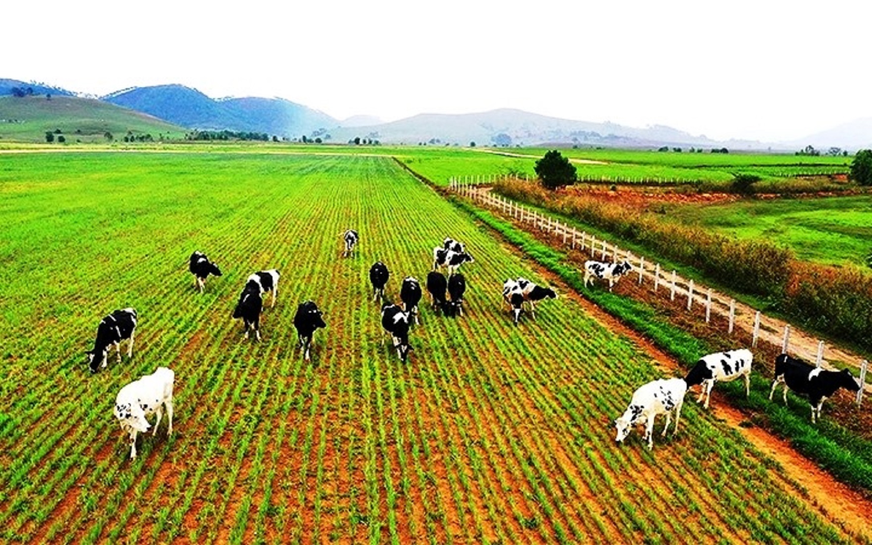 Membership criteria of Vietnam Farms and Agricultural Enterprises Association