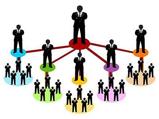 What are tasks and powers of Vietnam Multi-Level Marketing Association?