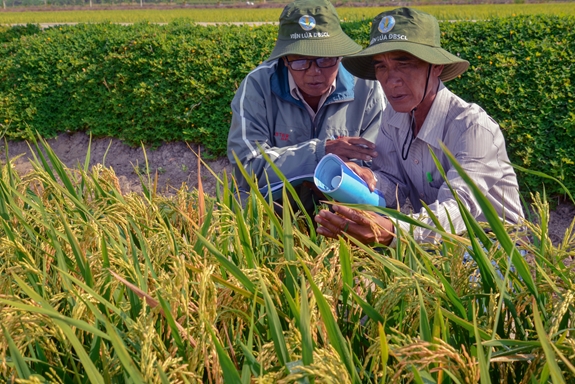 Conditions to apply for a loan from the Support Fund for Farmers in Vietnam