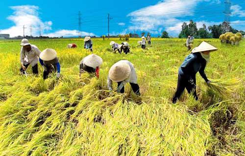 Operational principles of the Support Fund for Farmers in Vietnam
