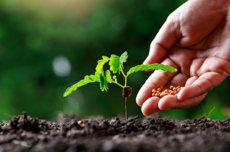 What is nutrient in fertilizers?  What are regulations on fertilizer classification in Vietnam?