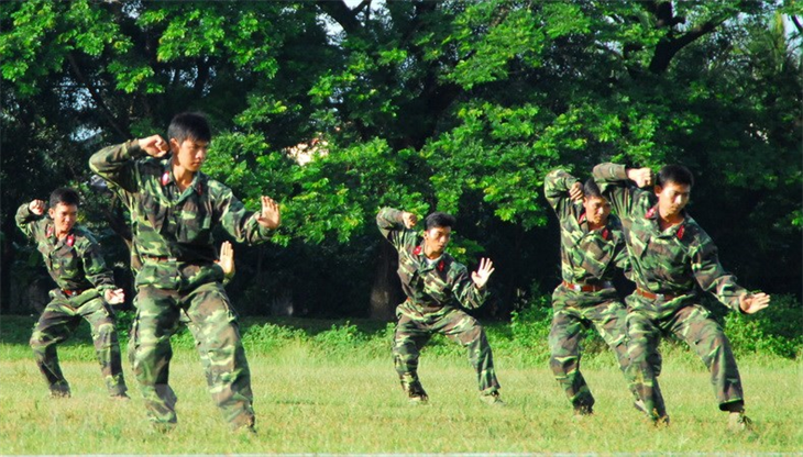 Qualifications for selection and recruitment of professional servicemen in Vietnam