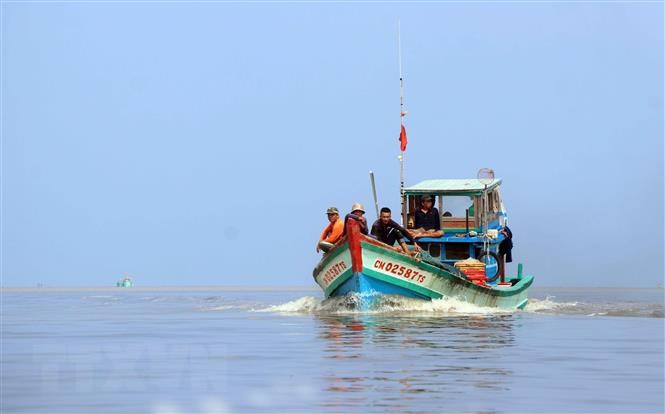 Some solutions to combat illegal fishing in Vietnam