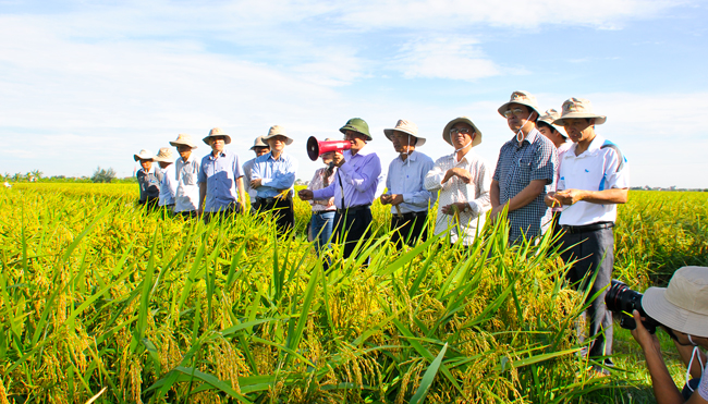 Nhiệm vụ của Trung tâm Khuyến nông Quốc gia