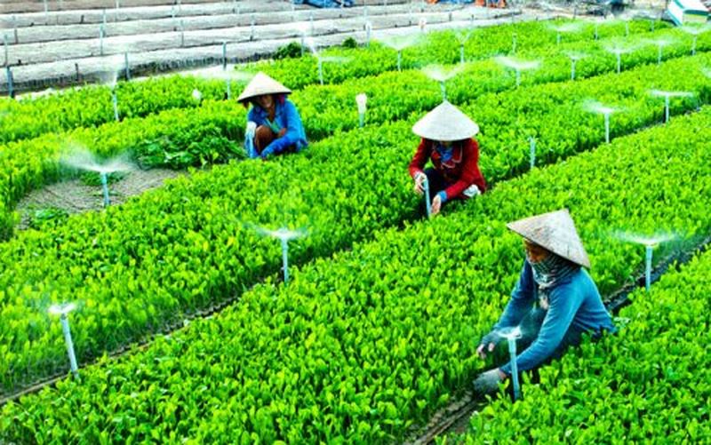 Những mô hình nông nghiệp an toàn và bền vững của tương lai  Vien Khoa Hoc  Ky Thuat Nong Nghiep Mien Nam