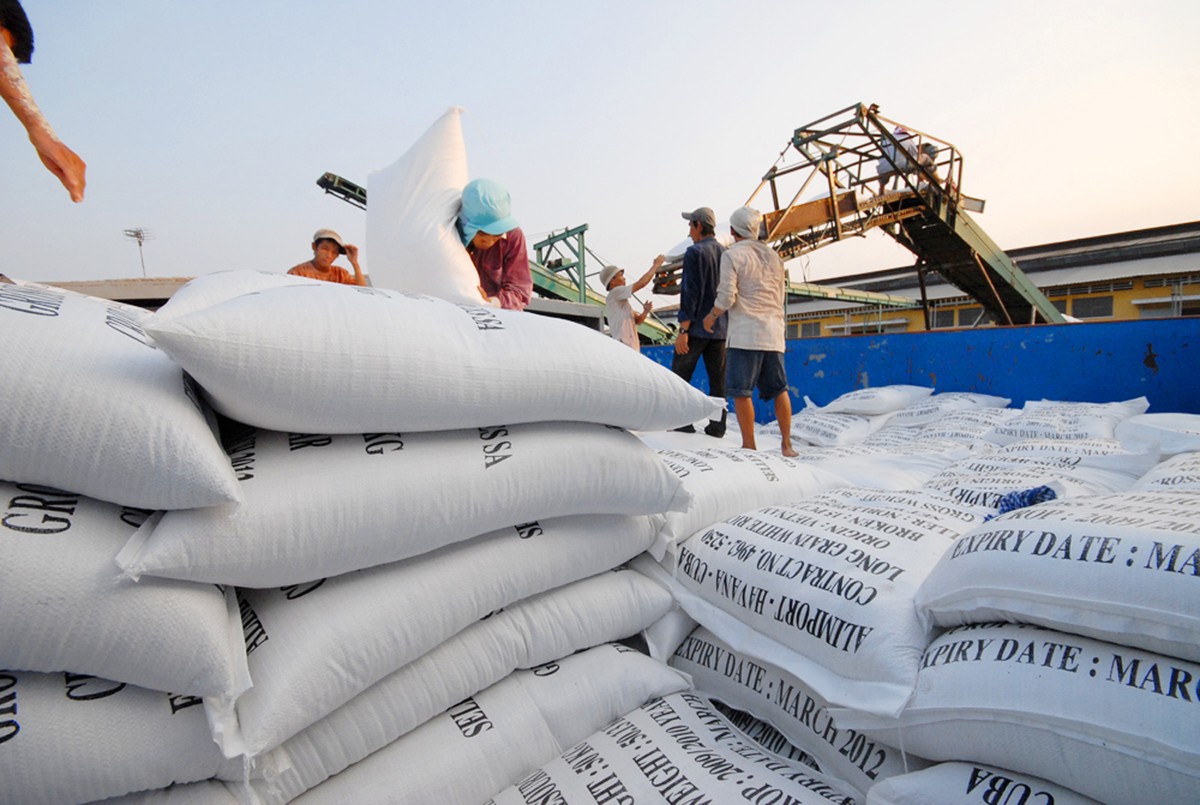 To urgently complete the draft of amended Decree on the rice export business in Vietnam