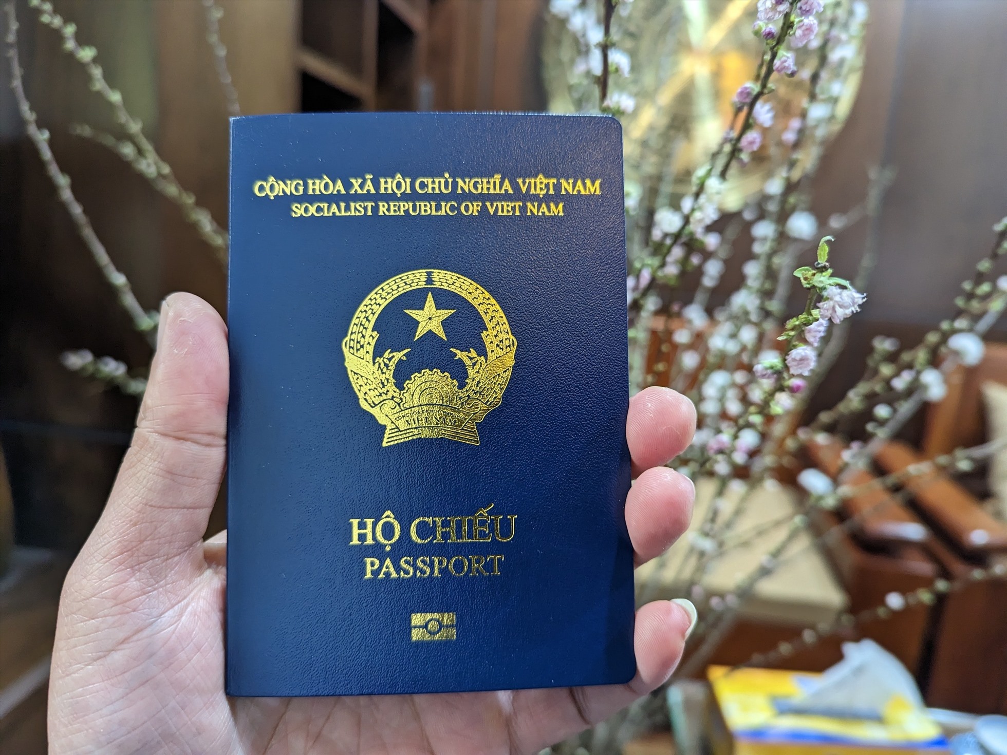 Application form for domestic issuance of regular passports from August 15, 2023 in Vietnam