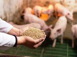 Danh mục hóa chất, sản phẩm sinh học cấm sử dụng trong thức ăn chăn nuôi
