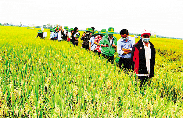 Principles for organization, management and operation of artels, cooperatives and cooperative unions in Vietnam