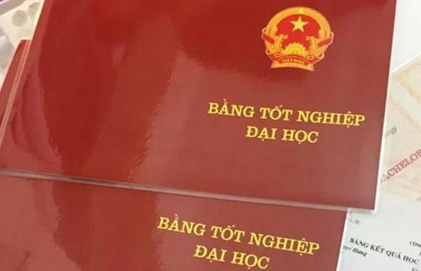 Does changing the given name lead to the re-issuance of the university degree in Vietnam?