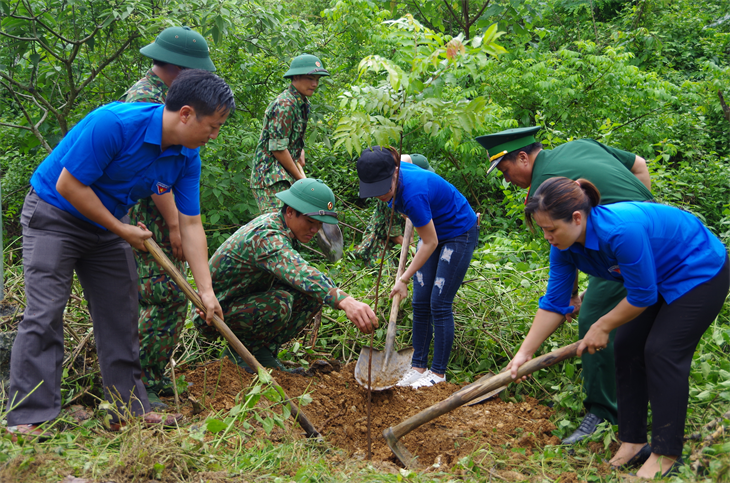 Duties and powers of the Vietnam Forest Protection and Development Fund