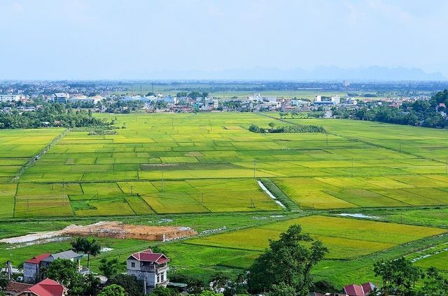 What are the regulations on state guarantee for land users in Vietnam?