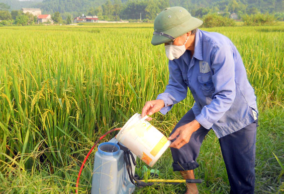 List of pesticides banned from use in Vietnam from December 8, 2023