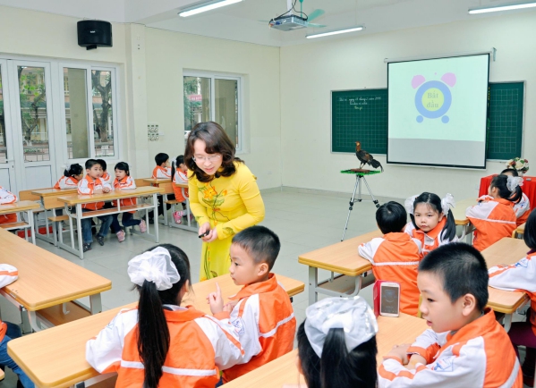 Investors in the field of education in Vietnam