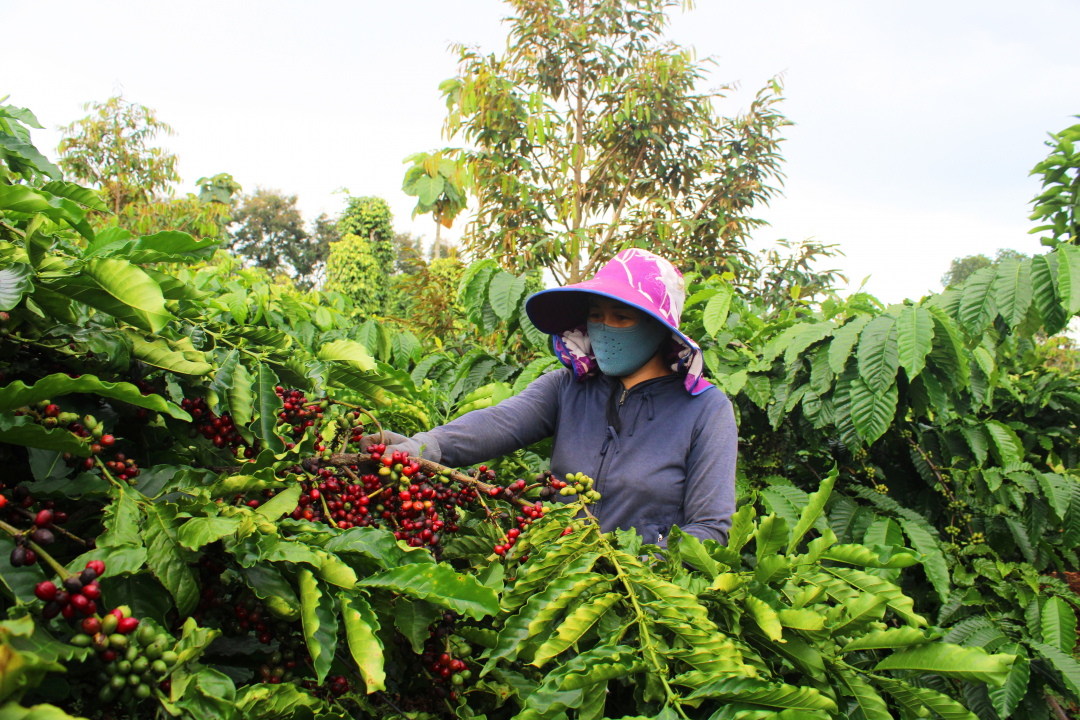 Powers and obligations of the Fund to support low-income households for economic development in Vietnam