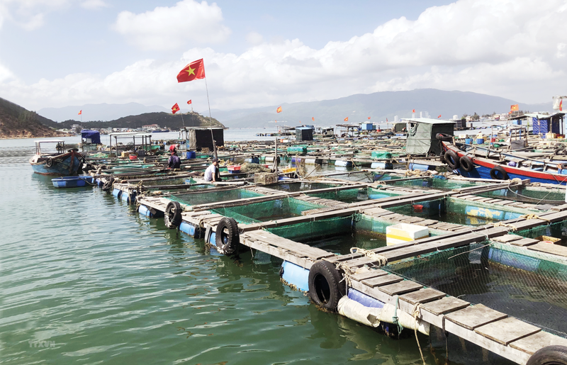 Approval of the investment policy of the Sustainable Fisheries Development Project in Vietnam 