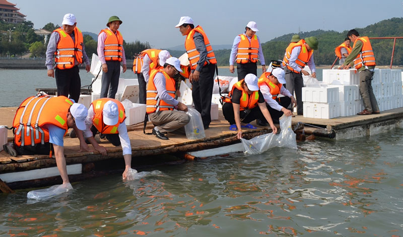 Phê duyệt Chương trình quốc gia Bảo vệ và Phát triển nguồn lợi thủy sản đến năm 2030