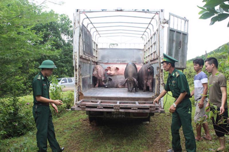 Ngăn chặn buôn lậu, vận chuyển trái phép động vật, thủy sản qua biên giới vào Việt Nam
