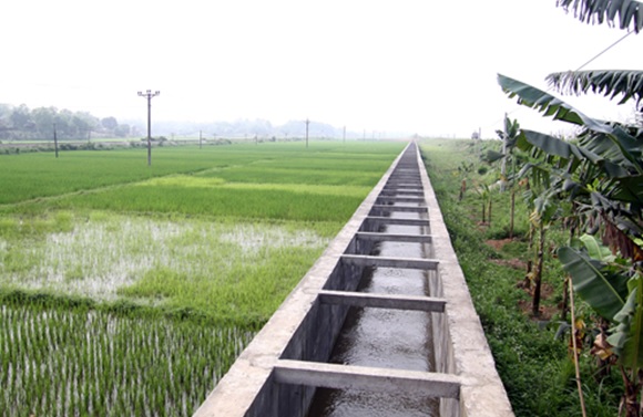 Requirements concerning development of small-scale and inter-field irrigation projects in Vietnam