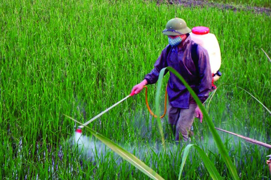 Requirements for plant protection services in Vietnam
