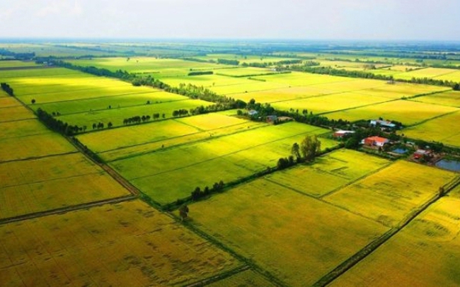 Plan to form legislative documents on land for 2024 of the Ministry of Natural Resources and Environment of Vietnam