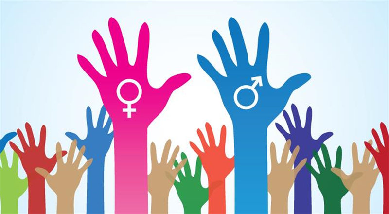BHXH hướng dẫn công tác bình đẳng giới và vì sự tiến bộ của phụ nữ năm 2024
