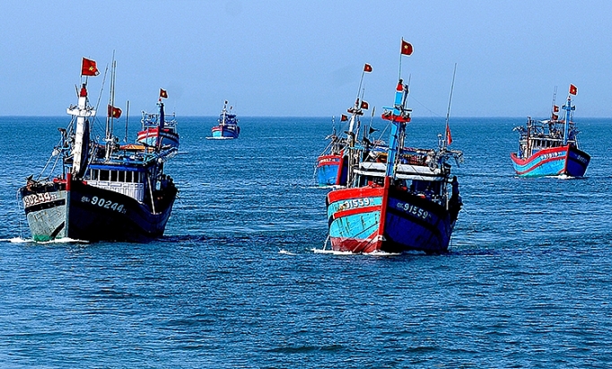Completion of legal regulations related to IUU fishing in Vietnam by May 2024