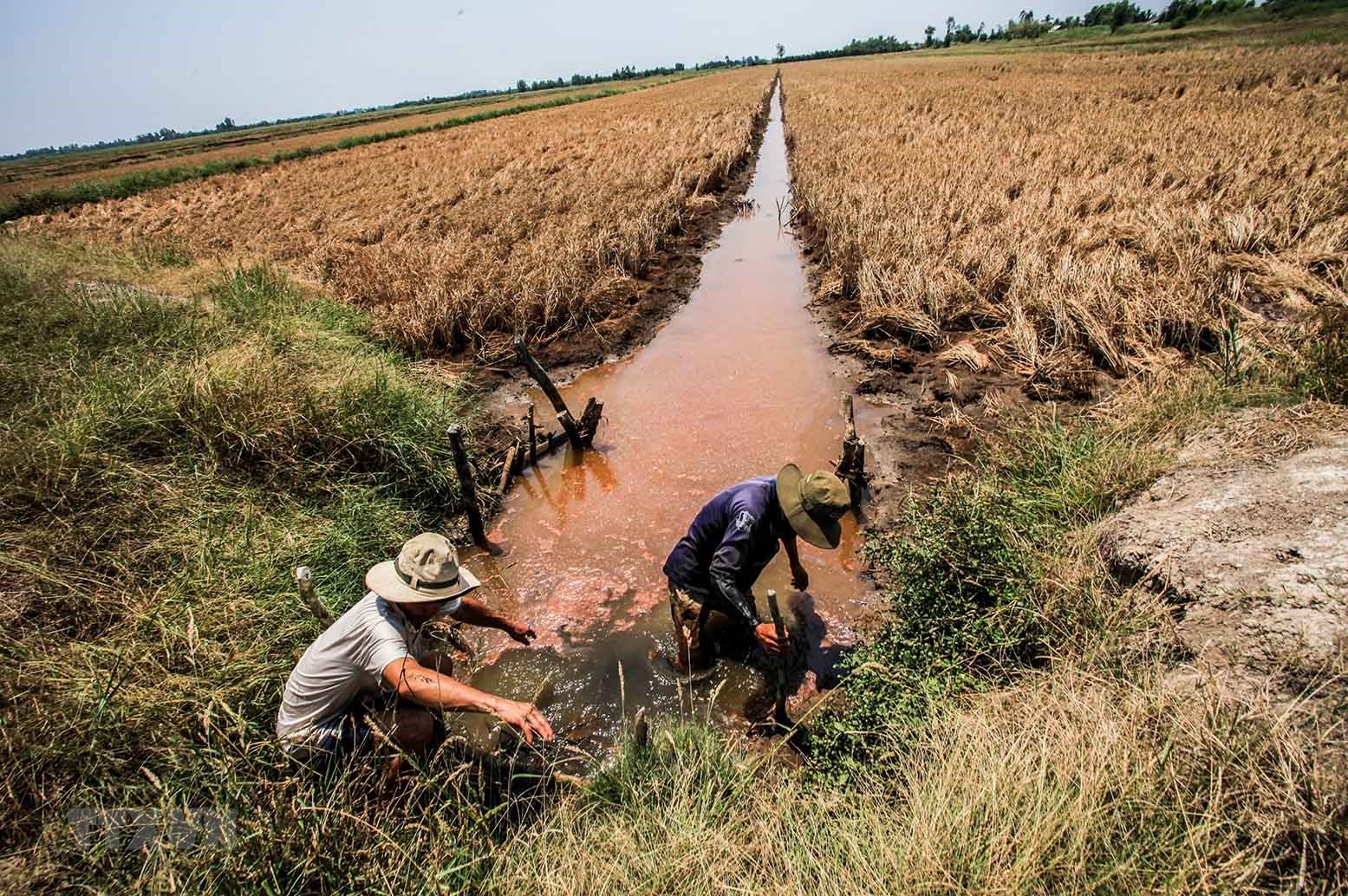 Enhancement of the implementation of measures to prevent and combat heatwaves, droughts, water shortages, and saline intrusion in Vietnam