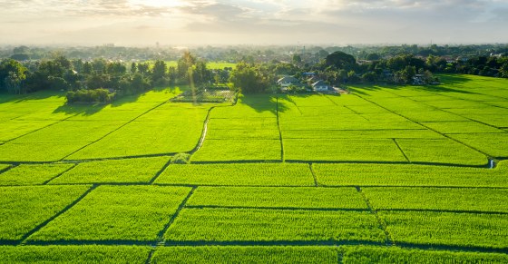 Provincial-level  Land  Statistics  Guidance  from  August  1,  2024